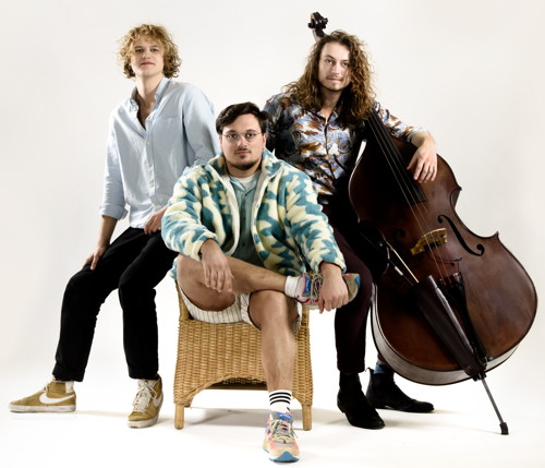 Igor Herstel Trio